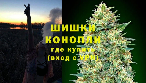 молекула духа Алзамай
