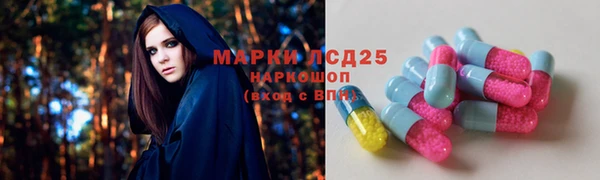 молекула духа Алзамай