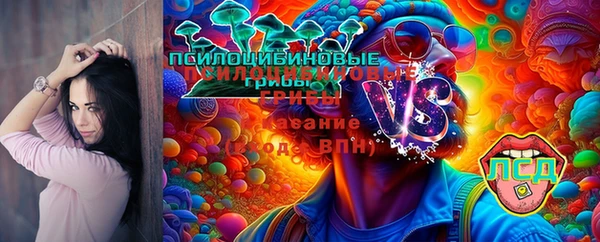 молекула духа Алзамай