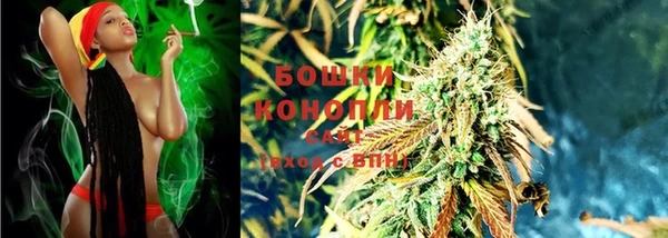 сатива Абинск