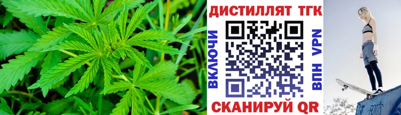 как найти закладки  Котлас  ТГК гашишное масло 