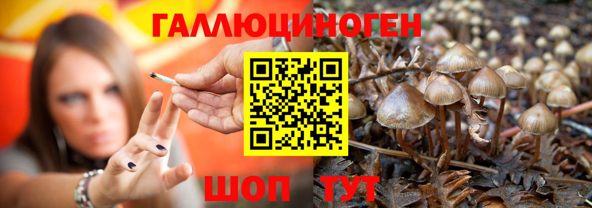 Псилоцибиновые грибы MAGIC MUSHROOMS  Вход с VPN  Котлас  Галлюциногенные грибы мухоморы 