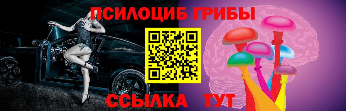 Галлюциногенные грибы GOLDEN TEACHER Котлас